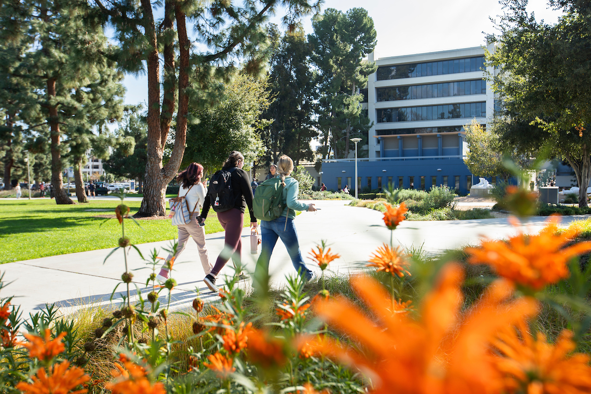 students during spring