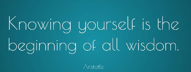 knowing yourself is the beginning of all wisdom