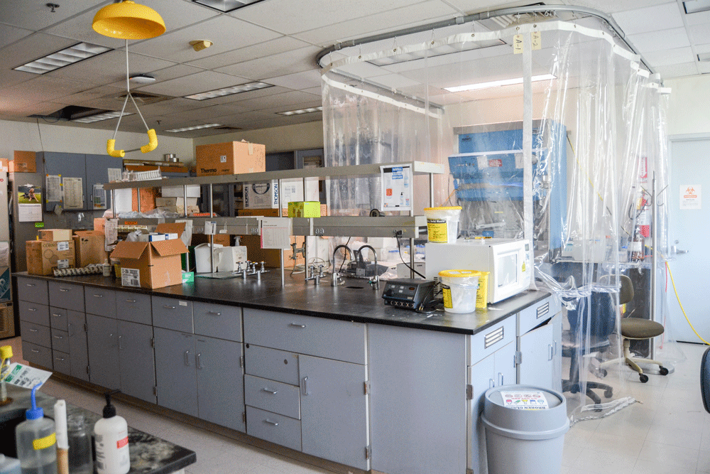 Biochemistry clean lab space