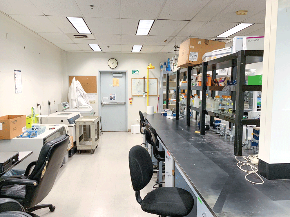 clean cool lab space