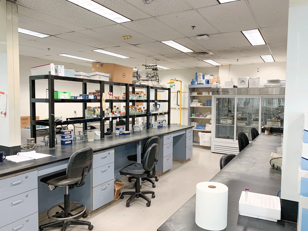 lab with lots of shelf space