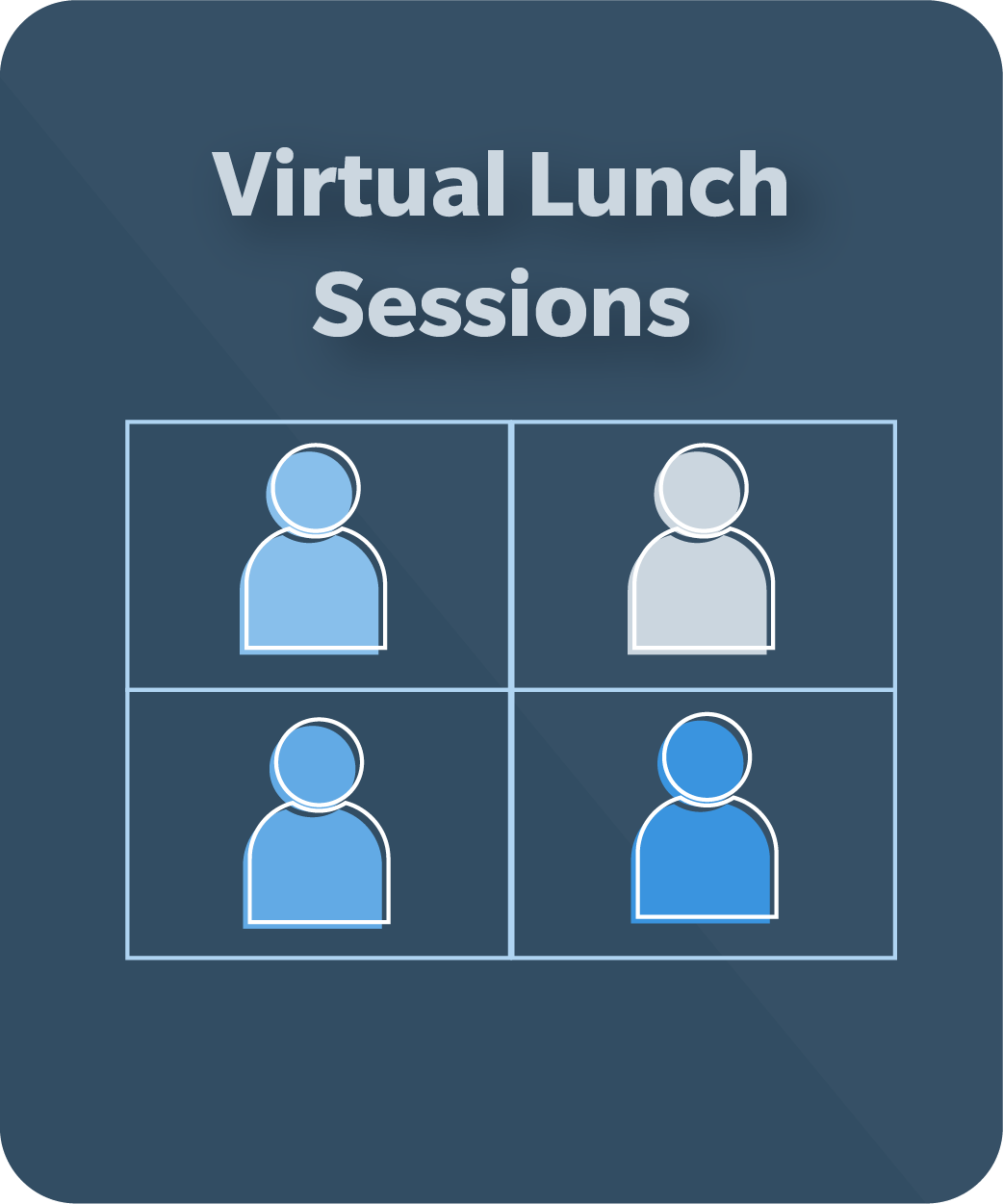 Virtual Lunch Sessions