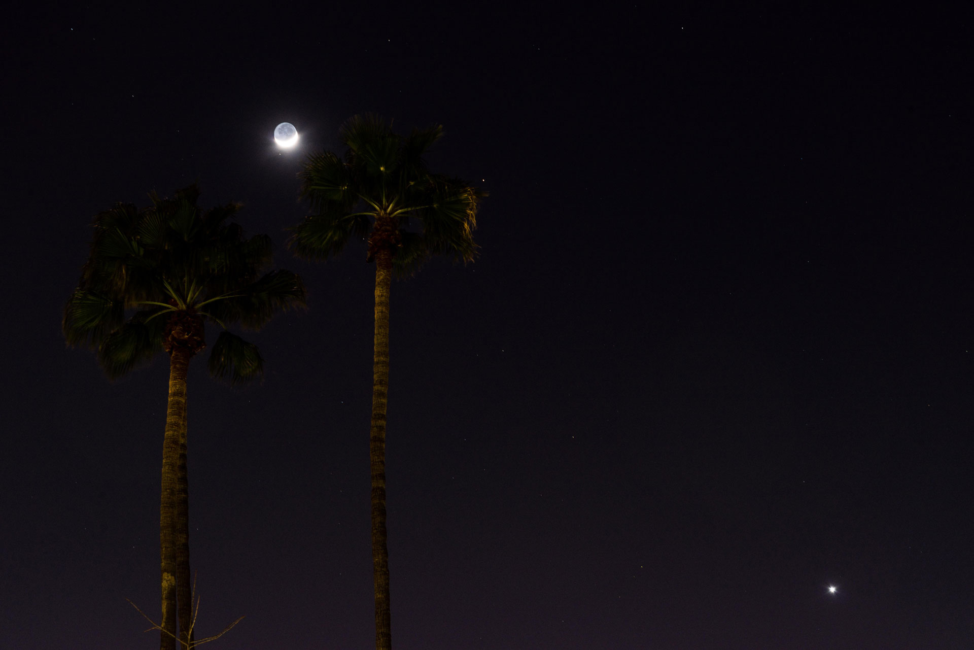 photography of moon