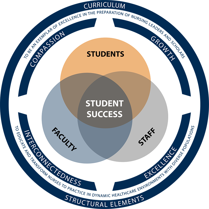 SON conceptual framework